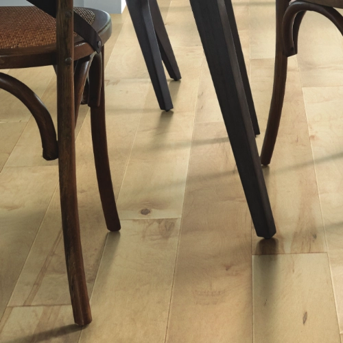 Carpet (5) Hardwood | Floor Max