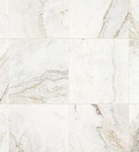 tile (1) Tile | Floor Max